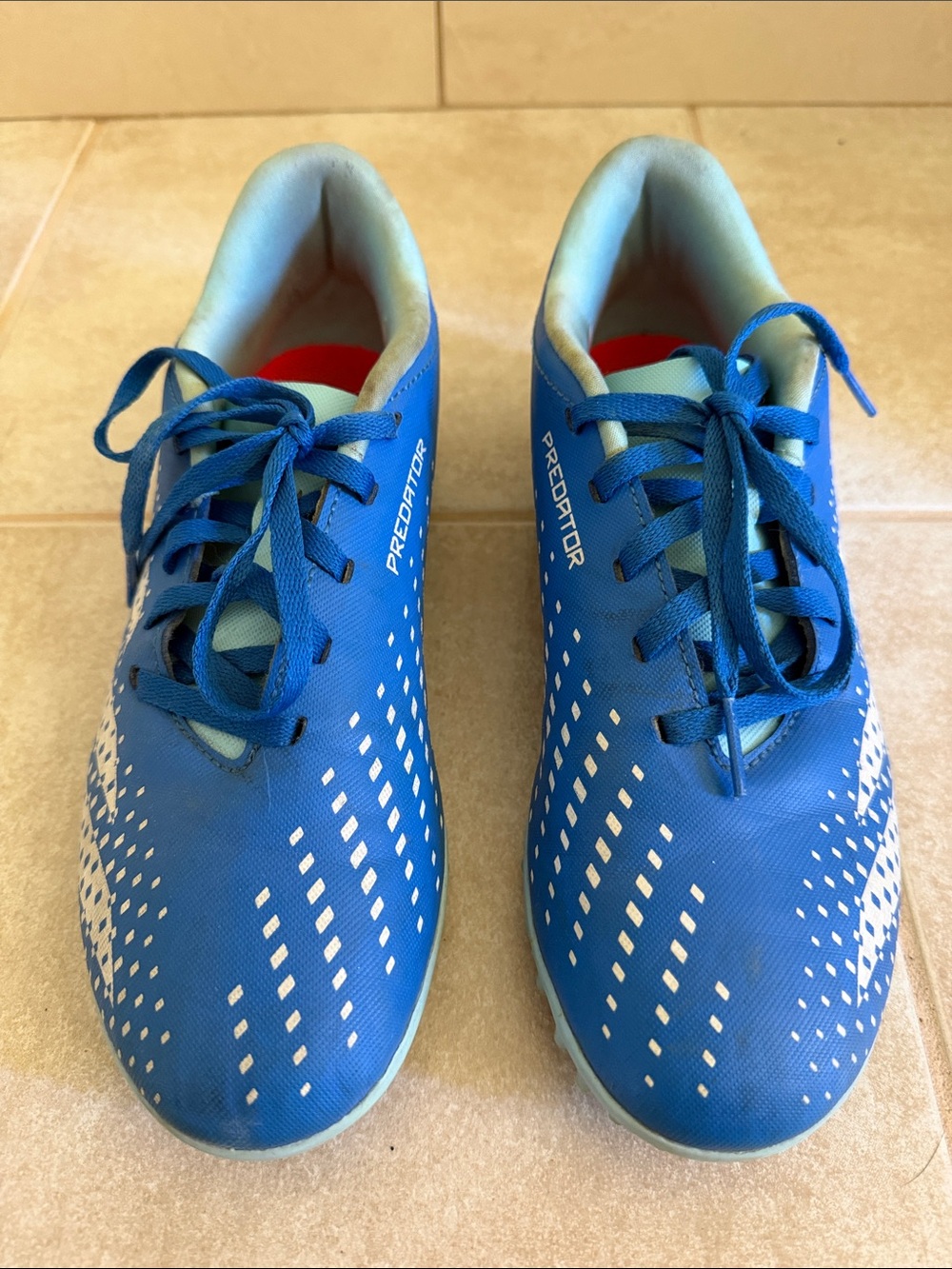 adidas Predator Men's Blue Training Soccer Shoes